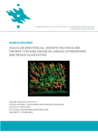 Vascular Endothelial Growth Factor-B and The