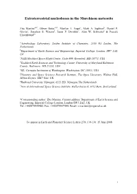 Extraterrestrial Nucleobases in the Murchison Meteorite