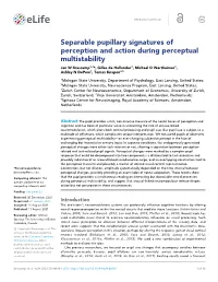 Separable Pupillary Signatures of Perception and Action During