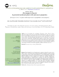 Dicranopteris Linearis a Potential Medicinal Plant with Anticancer Properties