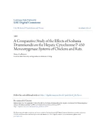 A Comparative Study of the Effects of Sesbania Drummondii on the Hepatic Cytochrome P-450 Monooxygenase Systems of Chickens and Rats