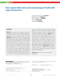 Root Apical Third and Canal Morphology of Teeth with Hypercementosis