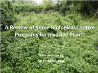 Biological Control Programs for Invasive Plants