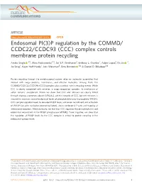 Endosomal PI(3)P Regulation by the COMMD/CCDC22/CCDC93
