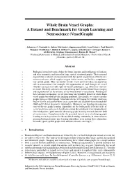 Whole Brain Vessel Graphs: a Dataset and Benchmark for Graph Learning and Neuroscience (Vesselgraph)