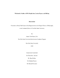 1 Mechanistic Studies of DNA Replication, Lesion Bypass, And