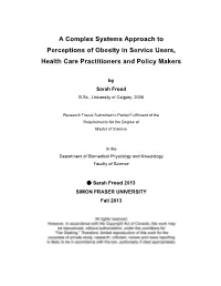 A Complex Systems Approach to Perceptions of Obesity in Service Users, Health Care Practitioners and Policy Makers
