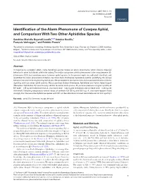 Identification of the Alarm Pheromone of Cowpea Aphid, and Comparison with Two Other Aphididae Species