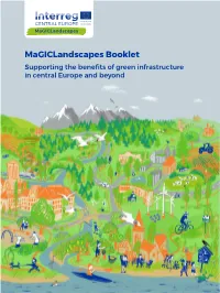 Magiclandscapes Booklet