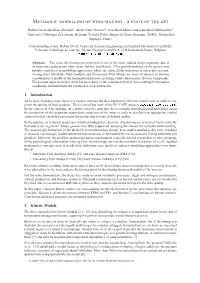 Metabolic Modelling of Wine-Making : a State of the Art