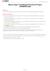 Mouse Gga1 Conditional Knockout Project (CRISPR/Cas9)