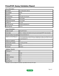 Primepcr™Assay Validation Report