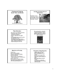 Pruning and Training Small Trees and Shrubs