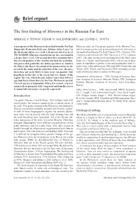 The First Finding of Mimomys in the Russian Far East