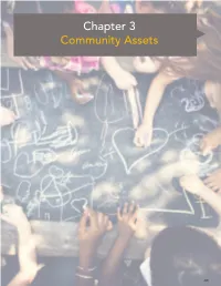 Chapter 3 Community Assets