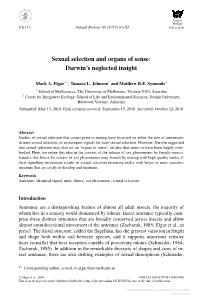 Sexual Selection and Organs of Sense: Darwin’S Neglected Insight