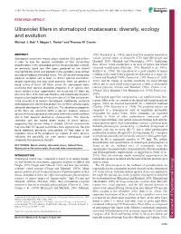 Ultraviolet Filters in Stomatopod Crustaceans: Diversity, Ecology and Evolution Michael J