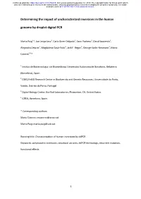 Determining the Impact of Uncharacterized Inversions in the Human