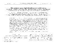 Structure and Distribution of Cold Seep Communities Along the Peruvian Active Margin: Relationship to Geological and Fluid Patterns