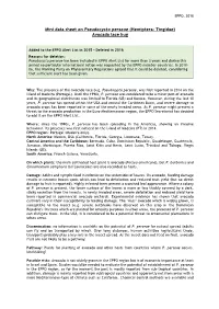 Mini Data Sheet on Pseudacysta Perseae (Hemiptera: Tingidae) Avocado Lace Bug