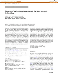 Discovery of Nucleotide Polymorphisms in the Musa Gene Pool by Ecotilling
