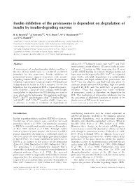 Insulin Inhibition of the Proteasome Is Dependent on Degradation of Insulin by Insulin-Degrading Enzyme