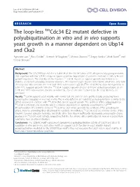 The Loop-Less Cdc34 E2 Mutant Defective in Polyubiquitination In