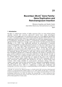 Gene Family: Gene Duplication and Retrotransposon Insertion