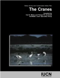 The Cranes Compiled by Curt D