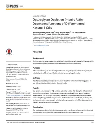 Dystroglycan Depletion Impairs Actin-Dependent Functions of Differentiated Kasumi-1 Cells