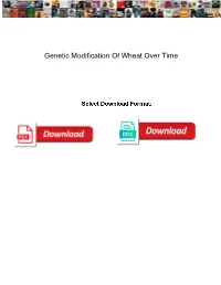 Genetic Modification of Wheat Over Time
