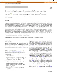 On the Fauna of Peat Bogs