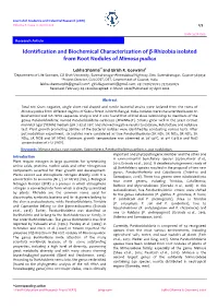 Identification and Biochemical Characterization of Β-Rhizobia Isolated from Root Nodules of Mimosa Pudica