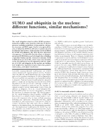 SUMO and Ubiquitin in the Nucleus: Different Functions, Similar Mechanisms?