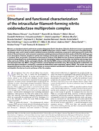 Structural and Functional Characterization of the Intracellular Filament-Forming Nitrite Oxidoreductase Multiprotein Complex