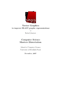 Vector Graphics Computer Science Masters Dissertation