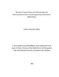 Detection of Cassava Viruses from Elite Genotypes and Characterization of Cassava Mosaic Begomoviruses from Farmers’ Fields in Kenya