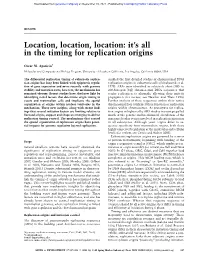 It's All in the Timing for Replication Origins