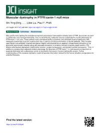 Muscular Dystrophy in PTFR/Cavin-1 Null Mice