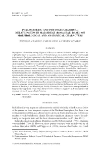 Phylogenetic and Phytogeographical Relationships in Maloideae (Rosaceae) Based on Morphological and Anatomical Characters