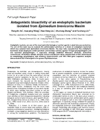 Antagonistic Bioactivity of an Endophytic Bacterium Isolated from Epimedium Brevicornu Maxim