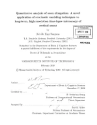 Application of Stochastic Modeling Techniques to Long-Term, High-Resolution Time-Lapse Microscopy Of