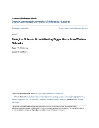 Biological Notes on Ground-Nesting Digger Wasps from Western Nebraska