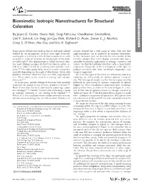 Biomimetic Isotropic Nanostructures for Structural Coloration