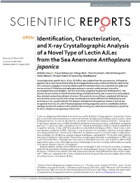 Identification, Characterization, and X-Ray Crystallographic Analysis of A