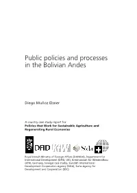 Public Policies and Processes in the Bolivian Andes
