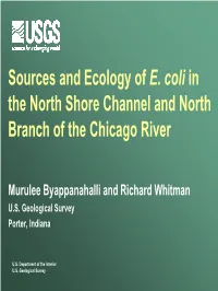 Sources and Ecology of E. Coli in the North Shore Channel and North Branch of the Chicago River