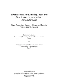 Streptococcus Equi Subsp