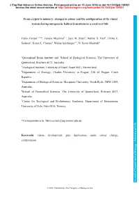 From Crypsis to Mimicry: Changes in Colour and the Configuration of the Visual System During Ontogenetic Habitat Transitions in a Coral Reef Fish
