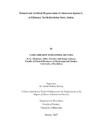 Natural and Artificial Regeneration of Adansonia Digitata L. at Elkhouyi, North Kordofan State, Sudan
